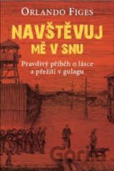 Navštěvuj mě ve snu