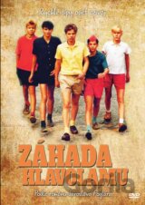 Záhada hlavolamu