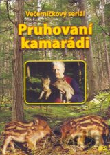 Večerníček: Méďové, Tuláček, Vydrýsek, Pruhovaní kamarádi (4 DVD - papírový)