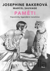 Paměti