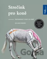Strečink pro koně