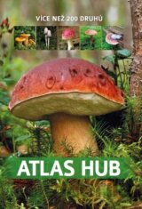 Atlas hub