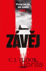 Závěj