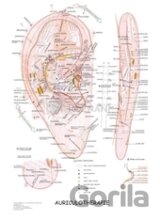 Auriculotherapie (mapa)