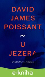 U jezera