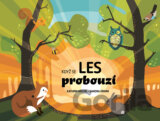 Když se les probouzí
