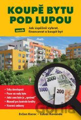 Koupě bytu pod lupou