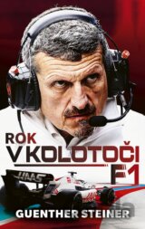 Rok v kolotoči F1