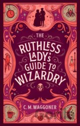 The Ruthless Lady's Guide to Wizardry