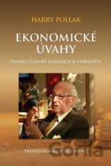 Ekonomické úvahy