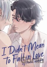 I Didn't Mean to Fall in Love