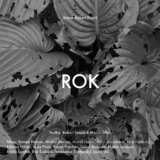 Rok