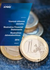 Vzorová účtovná závierka 2014