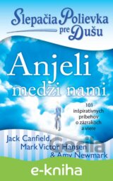 Slepačia polievka pre dušu: Anjeli medzi nami