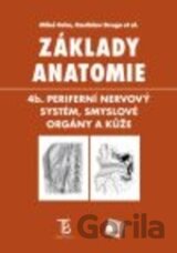 Základy anatomie