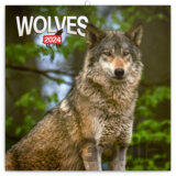 Poznámkový kalendár Wolves 2024