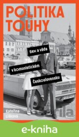 Politika touhy