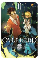Overlord 11