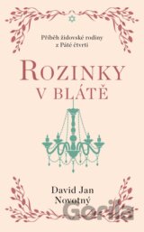 Rozinky v blátě