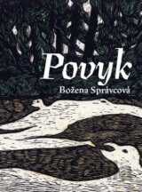 Povyk