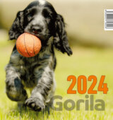 Psík 2024