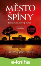 Město špíny