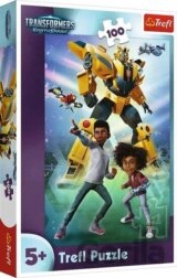 Tím Transformerov / Hasbro Transformers