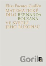 Matematické dílo Bernarda Bolzana ve světle jeho rukopisů