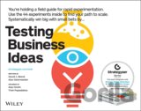 Testing Business Ideas