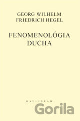 Fenomenológia ducha