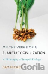 On the Verge of a Planetary Civilization