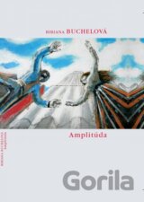 Amplitúda