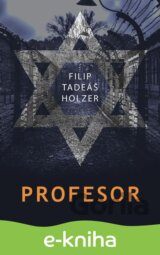 Profesor