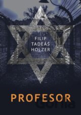 Profesor