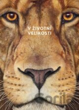 Africká zvířata