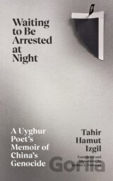 Waiting to Be Arrested at Night