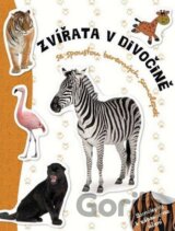 Zvířata v divočině