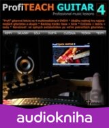 Profiteach guitar 4