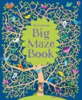 Big Maze Book