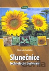 Slunečnice