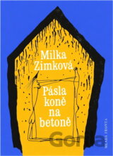 Pásla koně na betoně