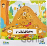 Co se děje v mraveništi