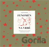 Fenomén Hvězdy na vrbě : historie, analýza, rekonstrukce a dokumentace inscenace