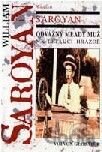 Odvážný mladý muž na létající hrazdě