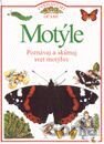 Motýle - Zvedavými očami