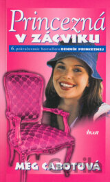Princezná v zácviku