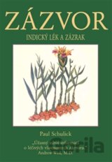 Zázvor