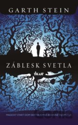 Záblesk svetla