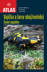 Vajíčka a larvy obojživelníků České republiky