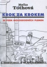 Krok za krokem